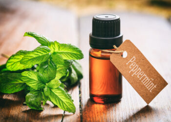 Will Peppermint Oil Hurt Plants?